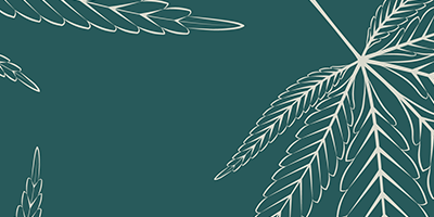 CBD en Suisse : tout ce que tu dois savoir